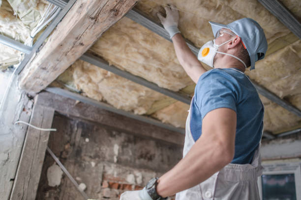 Best Residential Insulation in Lyles, TN